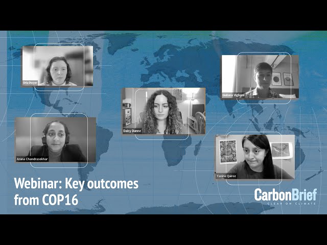 Webinar: Key outcomes from the UN’s COP16 biodiversity summit