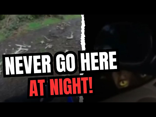 Something Lurks in the Appalachian Mountains… NEVER Go Out at Night!