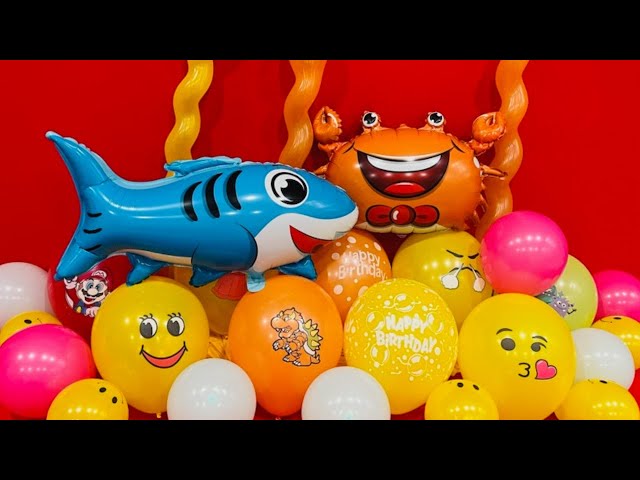 FUN HAPPY BIRTHDAY BALLOON POPPING #sounds #popping #subscribe #like #balloons #satisfying