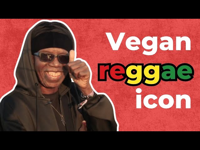 Macka B: Breaking Barriers and Inspiring Change Through Veganism & Reggae