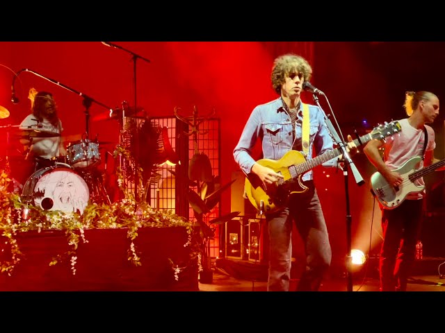 Razorlight - Vice - Live In London (Nov 2024)