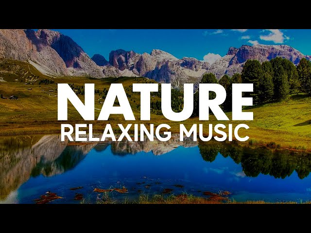 Relaxing Music with Amazing Nature Scenery - Zen Garden