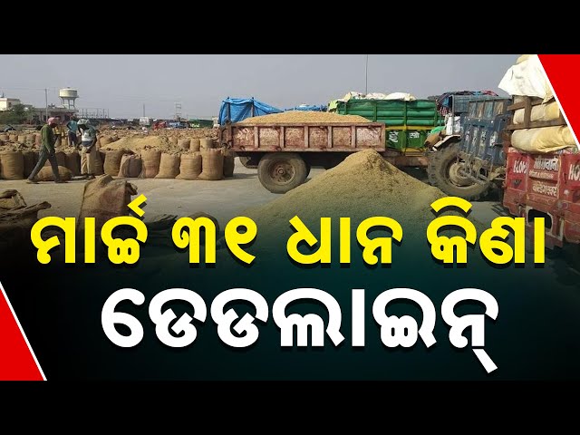 State Government Sets Deadline For Paddy Purchase: No Rice Will Be Bought After March 31