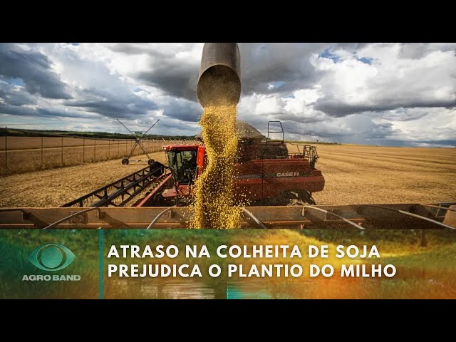 Chuva atrasa colheita da soja em Goiás | Agroband