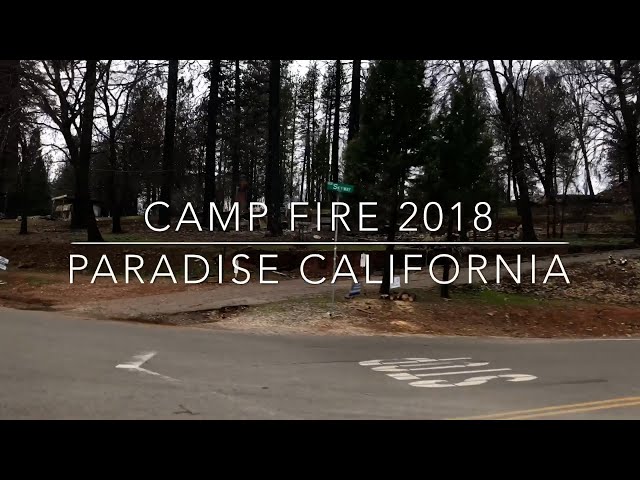 Paradise, California, The Camp Fire, This Video Was Shot in February of 2019