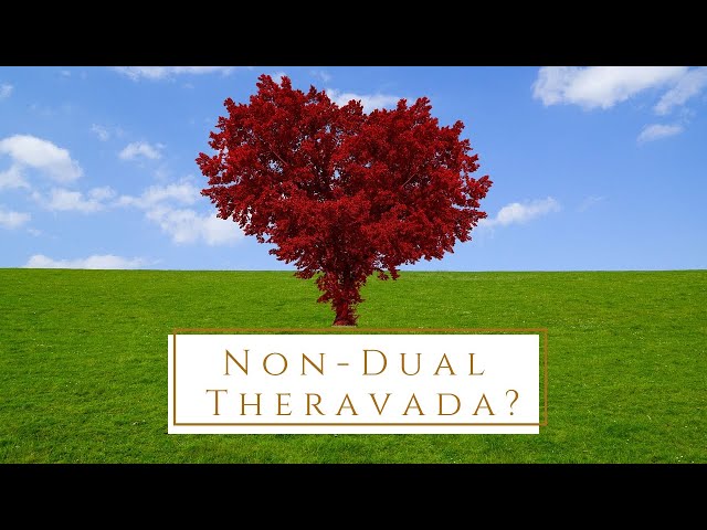 Non-dual Theravada? | Ajahn Kovilo