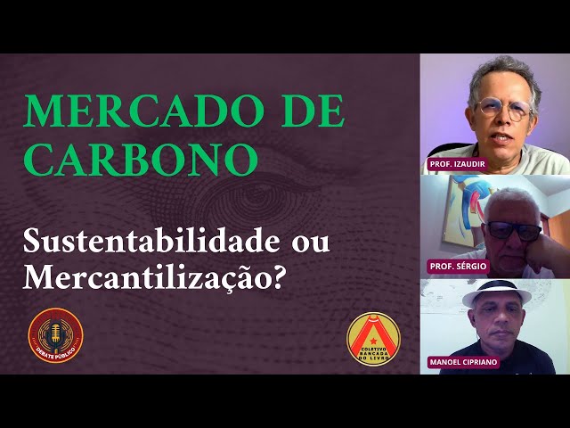 O MERCADO de Carbono: SUSTENTABILIDADE ou Mercantilização?