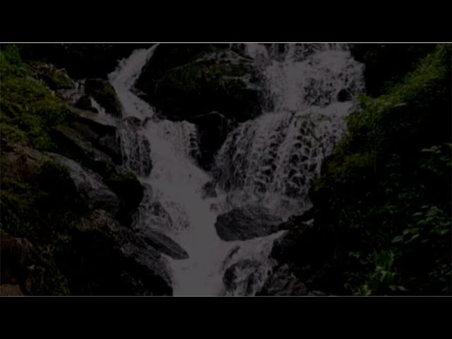 Soothing Waterfall Sounds in Forest for Relaxation | ASMR for Sleep, Study, Meditation, River Sounds