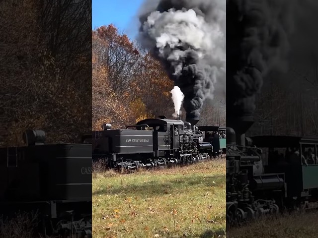 Cass Scenic Railroad #train #steamtrain #steamlocomotive #railroad