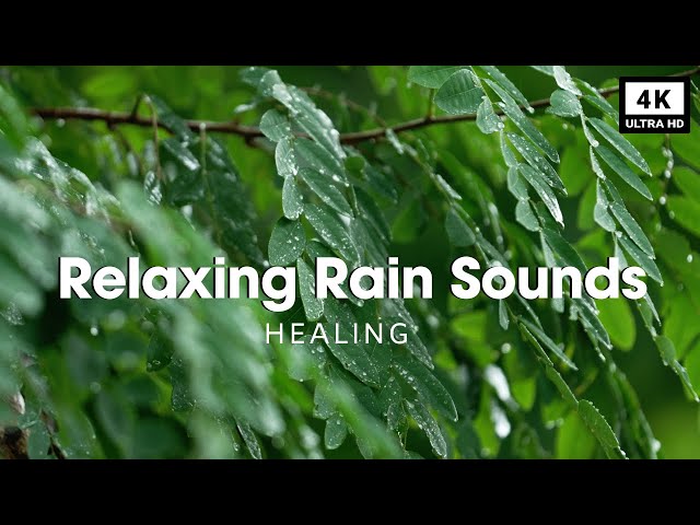 Relaxing Rain Sound RainyMood Healing