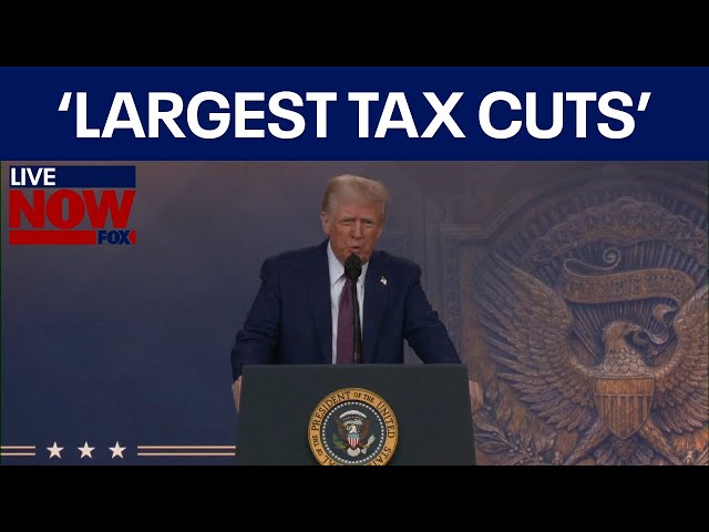 Trump addresses World Economic Forum 'I will make largest tax cuts in History'