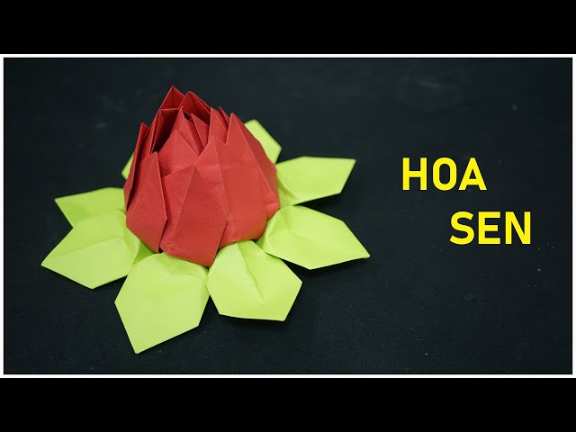 Hướng dẫn gấp hoa sen | lotus folding instructions | Paper Craft