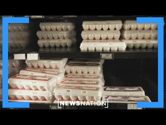 'Price of eggs is just astronomical': Small-business owner | NewsNation