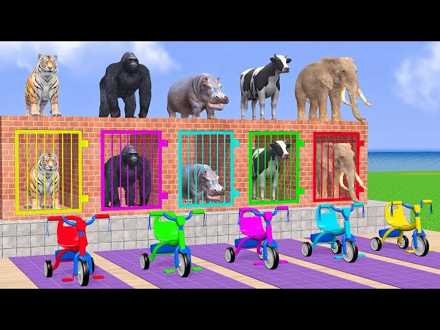 Cow Elephant Tiger Gorilla Hippo 3d Animal Long Slide Game Funny 3d Paint Animals Cage Game