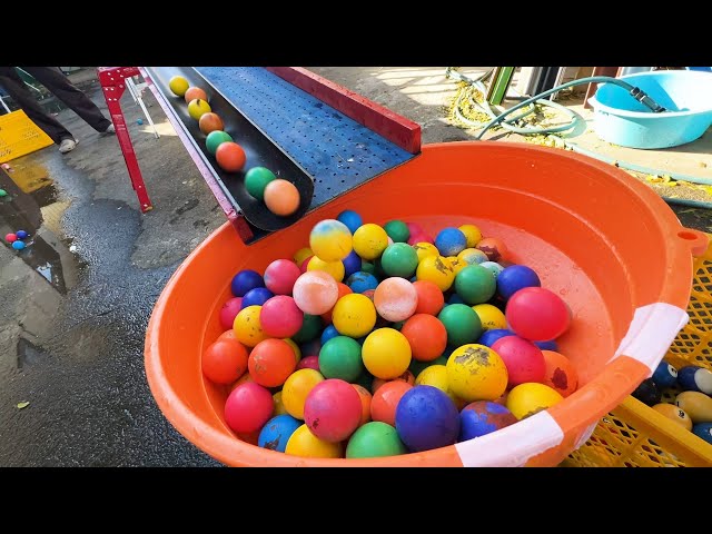 Let's enjoy the marble run live! Colorful balls roll down a handmade wooden slope