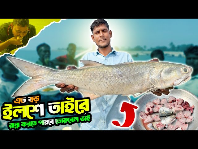 এত বড় ইলশে তাইরে রান্না করতে পারবে তো রুবেল ভাই? 🤔 | Indian Salmon Cooking at Kuakata Beach