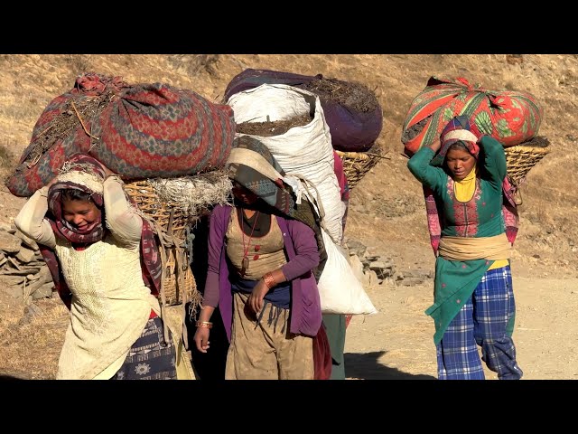 Traditional Village Life in Nepal: Working the Old Way in the Himalayas | Village Life