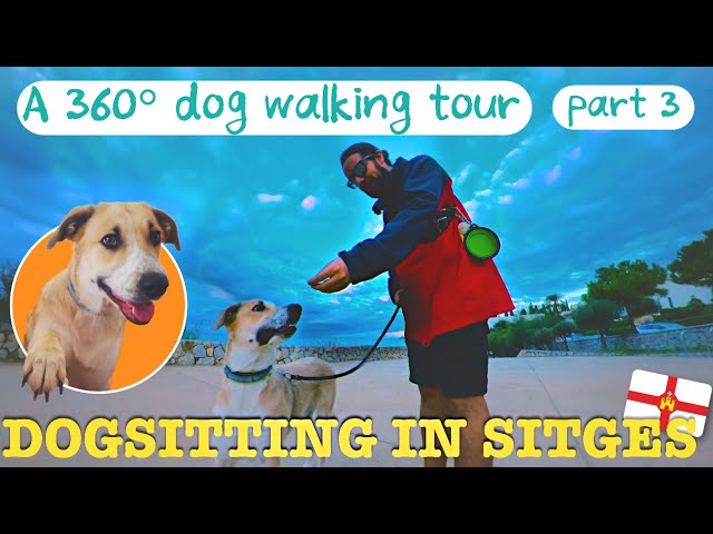 BEAUTIFUL Fishermen's town in SPAIN - A 360 tour + dog walk in SITGES