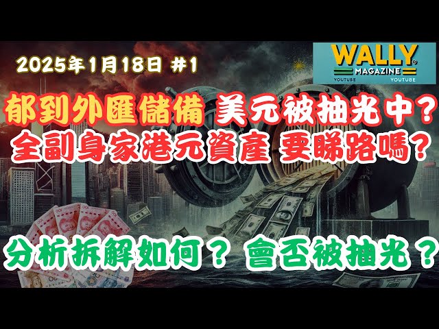 香港美元外匯儲備真係被抽光中？持港元資產要注意嗎？透過香港發人民幣債國際化，人民幣國際化背後操作的風險與影響！外資若不買，港埋單？