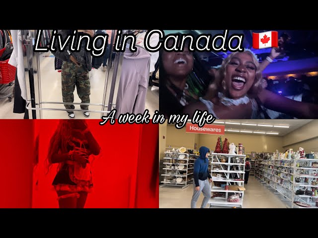 Living in Canada #4:Halloween party|Thrifting|Studying|African shop #upei #pei #internationalstudent