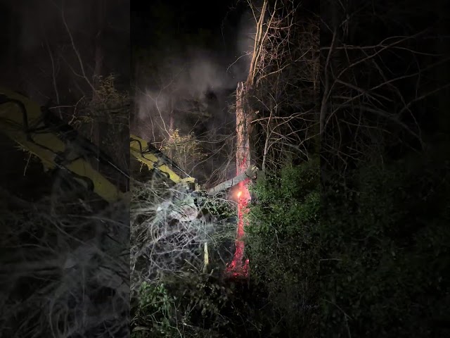 Removing a tree that was struck by lightning