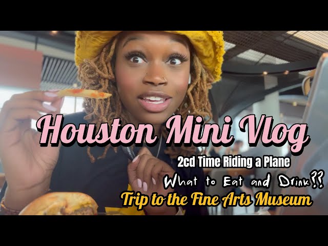 #Houston Mini #Vlog | #fineart #museum