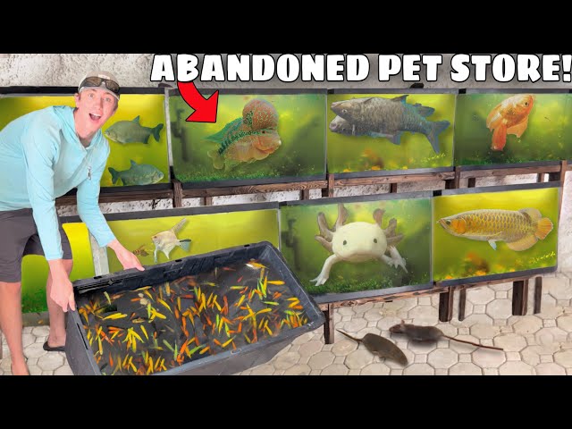 Saving EVERY Fish From ABANDONED PET STORE!