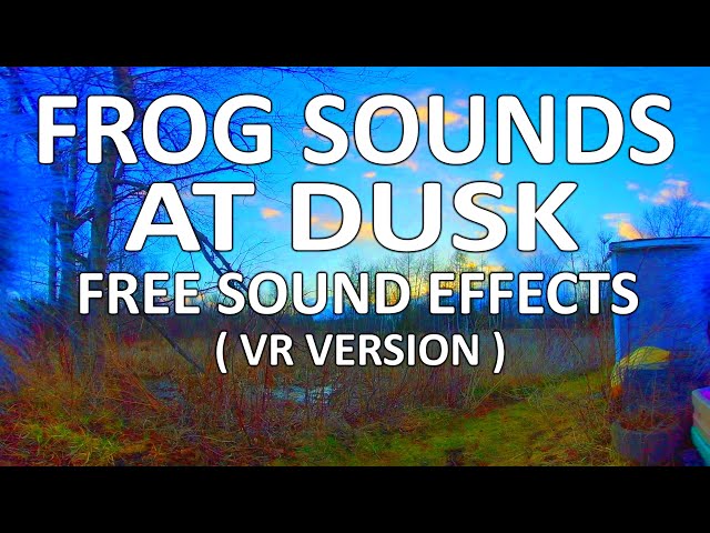 Frog Sounds At Dusk | FREE Sound Effects | Virtual Reality / VR180 Version