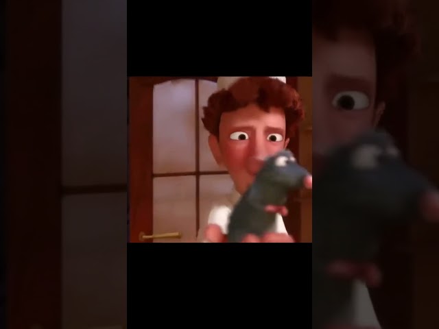 The real cook - Ratatouille edit