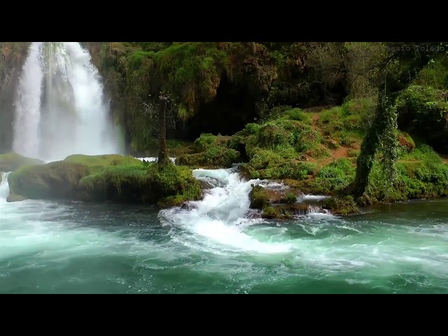 Música Relaxante   Acalmar a Mente e Relaxar