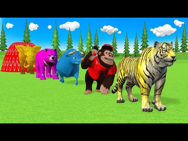 5 Giant Duck & Wild Animals Cage Game Cow Gorilla Rhinoceros Elephant Sheep Crossing Fountain Live