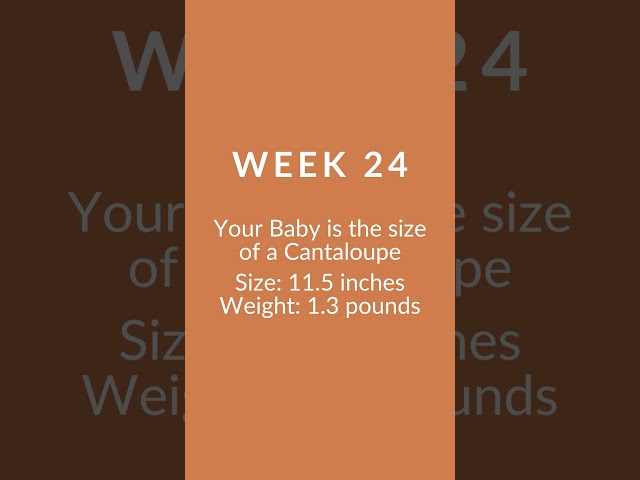 24 Weeks Pregnant: My Pregnancy Week by Week | Cloudmom | GIVEAWAY | #shorts