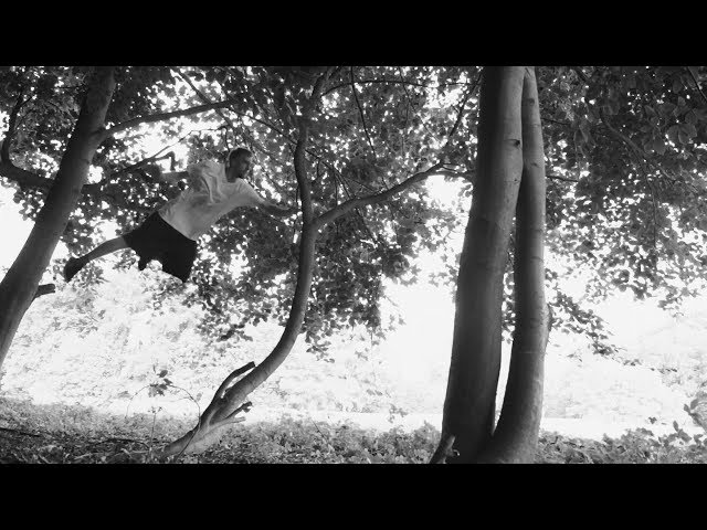 tea - parkour & free running