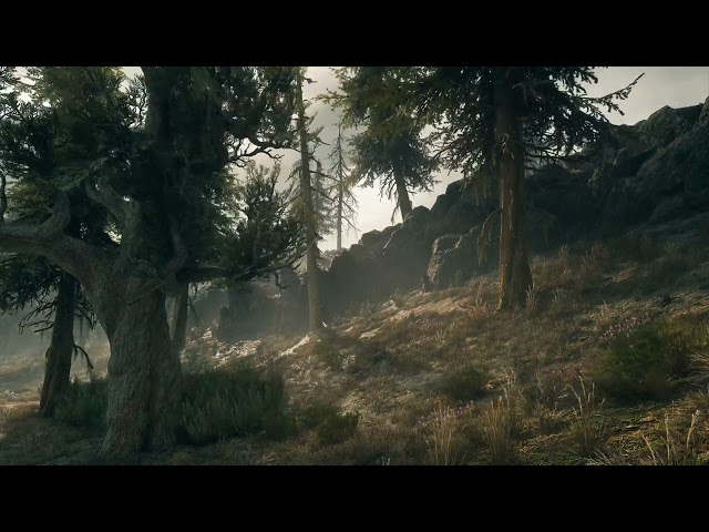 Days Gone | 4K Animated Background for Wallpaper Engine