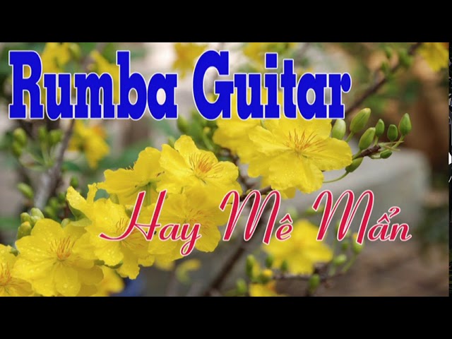 Hoà Tấu Rumba Guitar Không Lời Mới Nhất 2019 | Nhạc Vàng Hải Ngoại đáng nghe nhất