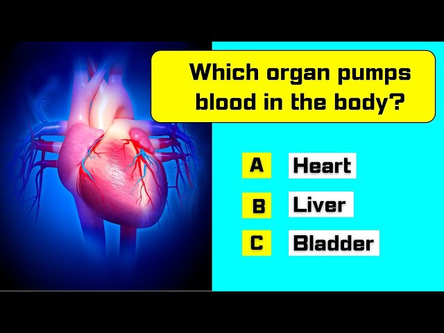 🧠 Can You Pass This Human Body Quiz?  General Knowledge Quiz