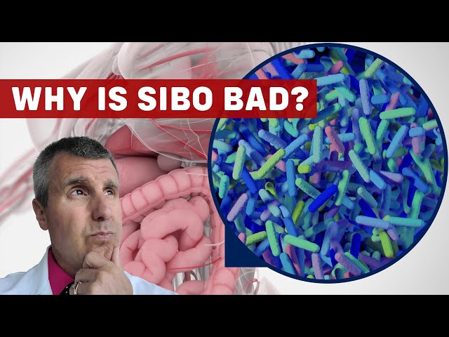 What is SIBO?