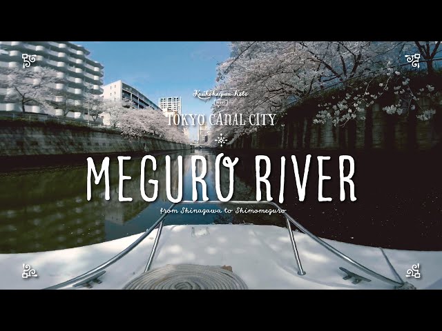 Tokyo Canal City - Meguro River VR180