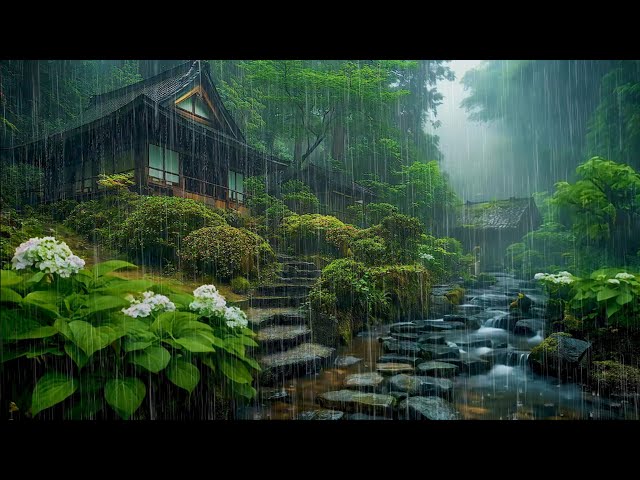 🍀 Healing Rain and Water Stream Sounds in Japanese Village Forest 🍀 Perfect for Deep Sleep Rest