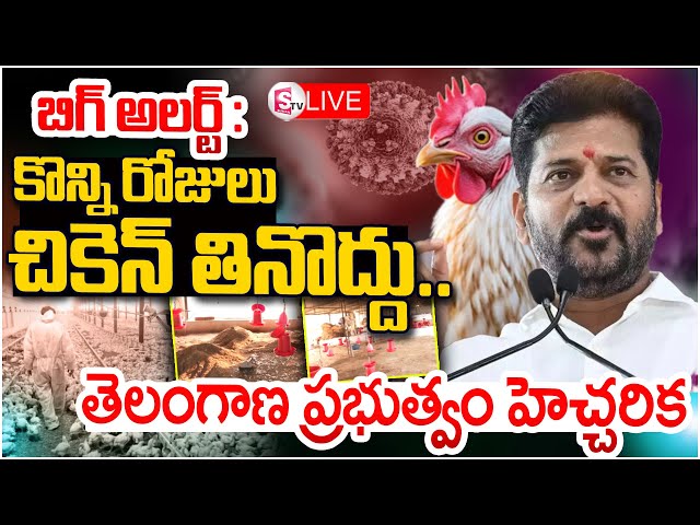 🔴LIVE : Must Watch Those who Eat Chicken and Eggs | Bird Flu In Chickens | CM Revanth Reddy