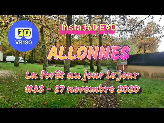 2022 - VR180 3D - LA FORÊT au jour le jour #33 - 27 novembre - 5 7K