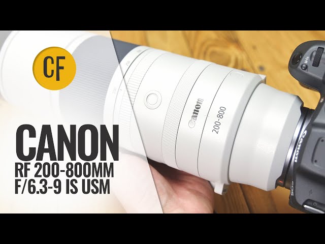 Canon RF 200-800mm f/6.3-9 IS USM lens review