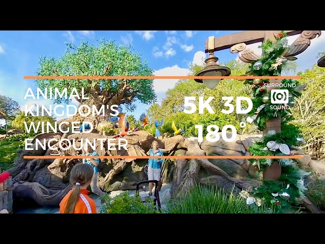 Animal Kingdom Winged Encounter (5K 3D 180°)