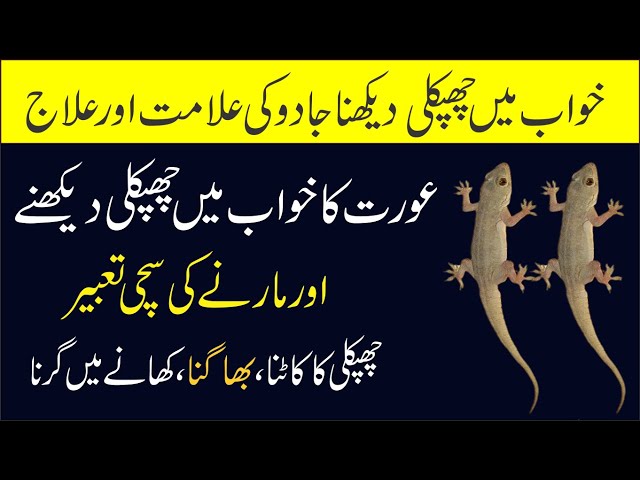 Khwab Mein Chipkali Dekhna | Khwab Main Chipkli Ko Mrny Ki Tabeer | lizard Dream interpretation