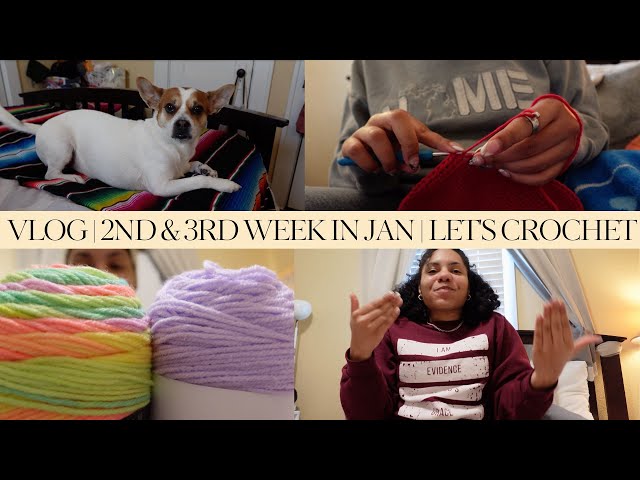 Vlog | 2nd & 3rd Week in Jan | Let's Crochet