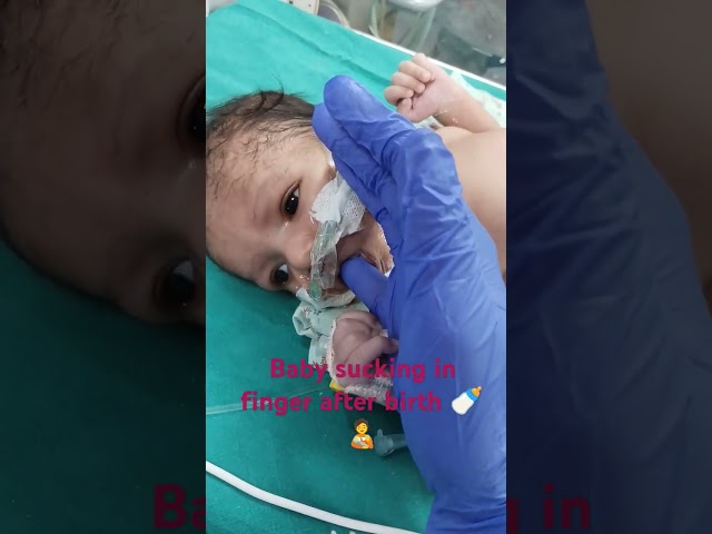 Baby care # baby after birth # sucking in finger 🍼❤️