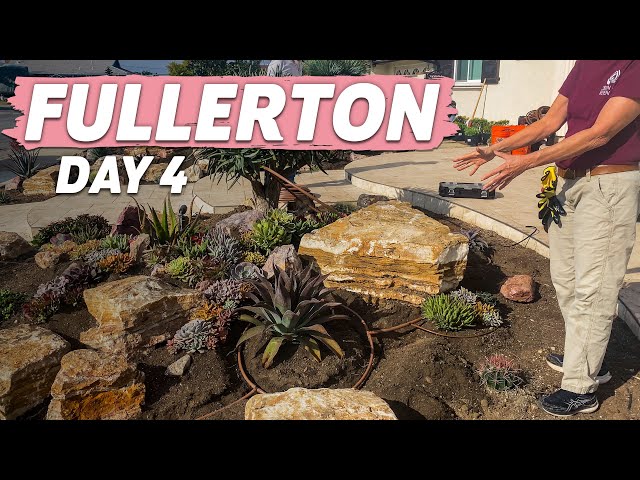 Front Yard Desert Landscape Installation | Fullerton Day 4