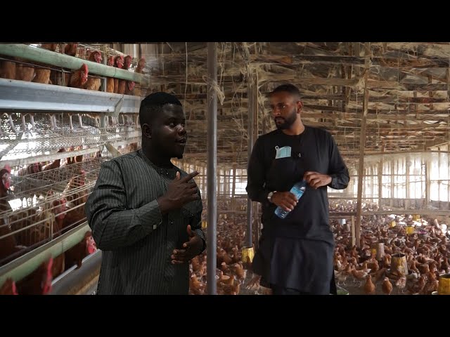 Sudanese Left The Uk To Be A Poultry Farmer In Northern Nigeria