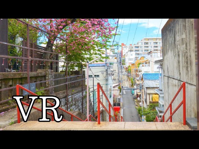 Your Name THE RIDE (VR180)