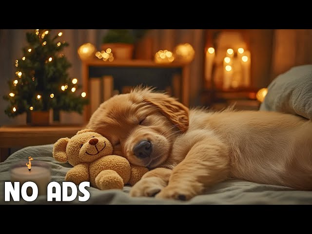 12 Hours of Dog Calming Music For Dogs 💖 Dog Separation Anxiety Music 🐶 Calming music🎵No Ads